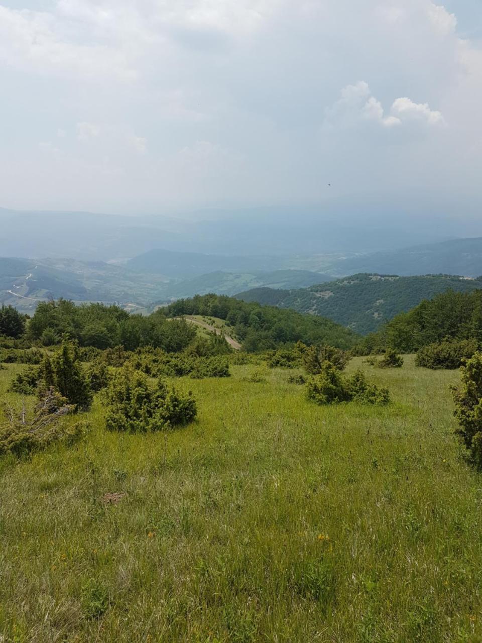 Milmari M18 Kopaonik Lägenhet Exteriör bild